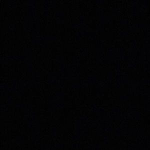 Meet your Posher, Shane